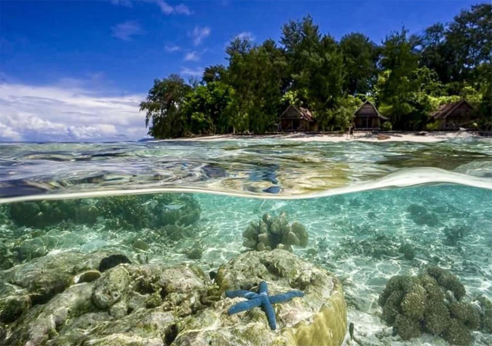 Wai Resort - Raja Ampat Pulau Birie Bagian luar foto